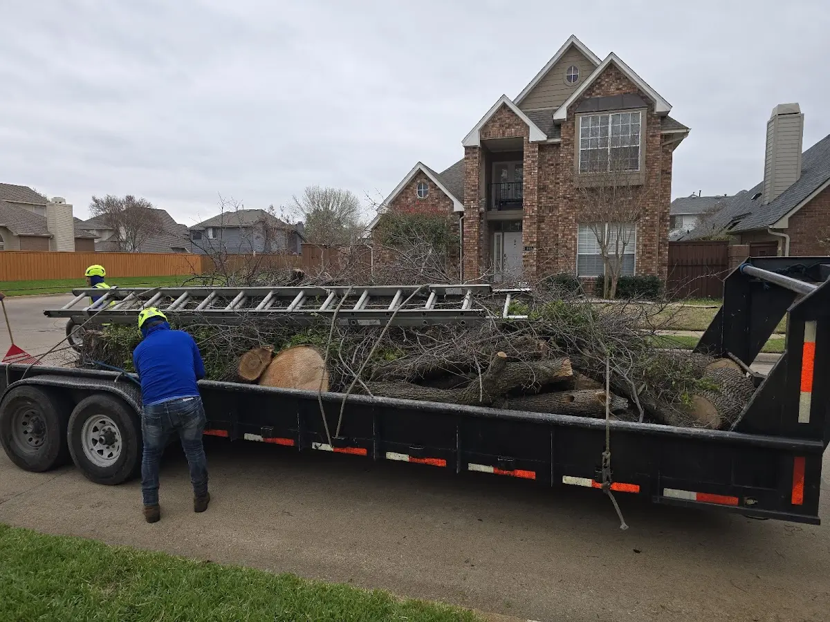 Expert Tree Fertilization with proper safety equipment in Cashton